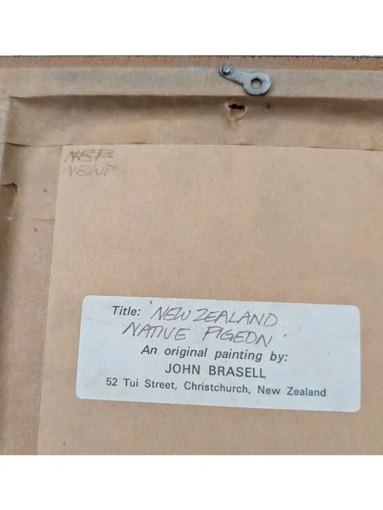 Vintage Framed NZ Pigeon Art John Russell 8.5"x6" Wood Frame bird Rustic Quirky - Picture 4 of 14